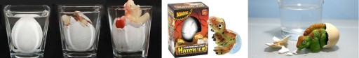 Egg Egg Rastúci dinosaurus, ktorý sa liahne z vajíčka