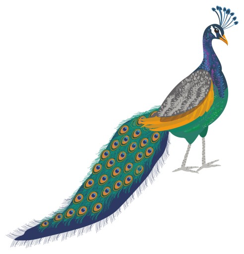 NÁLEPKA NA ZRKADLO NA OKNO PAW BIRD