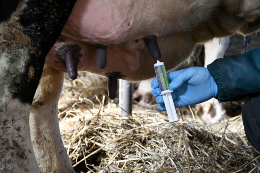 DuoMast C, Can Agri, prípravok na ochranu vemena počas laktácie