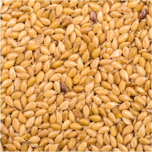 ZLATÉ ZRNÁ ĽANOVÉ SEMENO 500g GOLDEN FLEX, ZLATÝ STUPEŇ A orechov