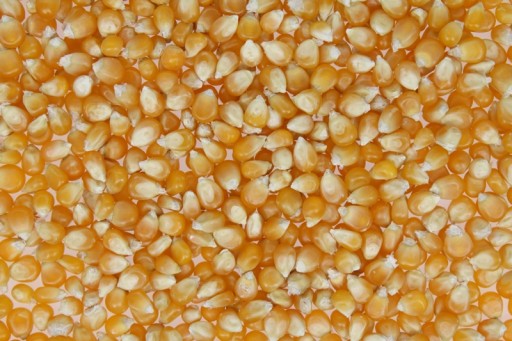 Popcorn Zrno Kukurica na praženie 200g
