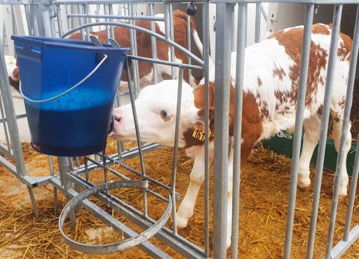 Calf Buddy Grow Me Milk Bar konektor na lýtkové cumlíky
