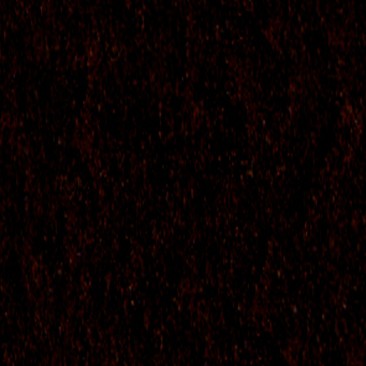 Tmel na tvrdé drevo BLACK WENGE 146 200 G