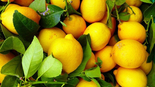 Esenciálny olej 100% prírodná osviežujúca aromaterapia CITRÓN 10ml