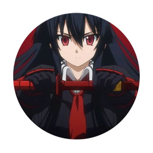 Akame ga Kill! anime 58 mm