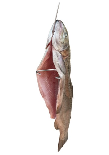 H-324 trojitý háčik na údenie rýb na pstruhy, makrely vendace