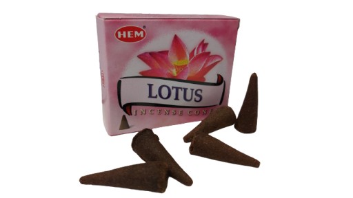 LOTUS KUŽEĽOVÉ VONNÉ TYČKY LOTOS HEM 10 ks