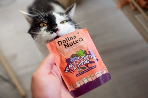 DOLINA NOTECI SUPERFOOD mokré krmivo pre mačky Teľací homár 85g