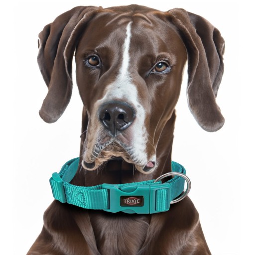Prémiový golier, L–XL: 40–65 cm/25 mm, morská modrá