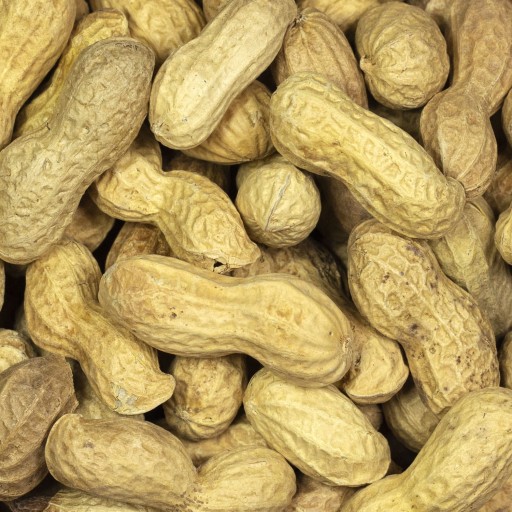 ARAŠIDY ARAŠIDY 500g Arašidy v škrupine