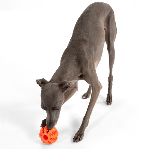 DOG CHEETH BALL TREATY GUMOVÁ HRAČKA MODRÁ loptička
