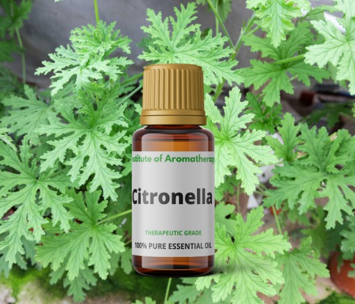 Inštitút vône citrónového oleja CITRONELLA