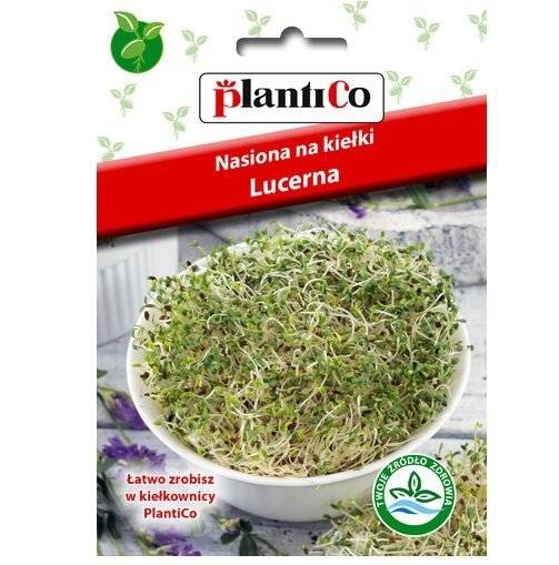 Semená lucerny na klíčky 20g