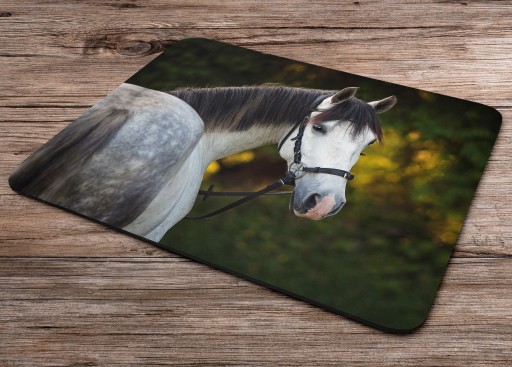 PODLOŽKA NA MYŠ HORSE HORSES