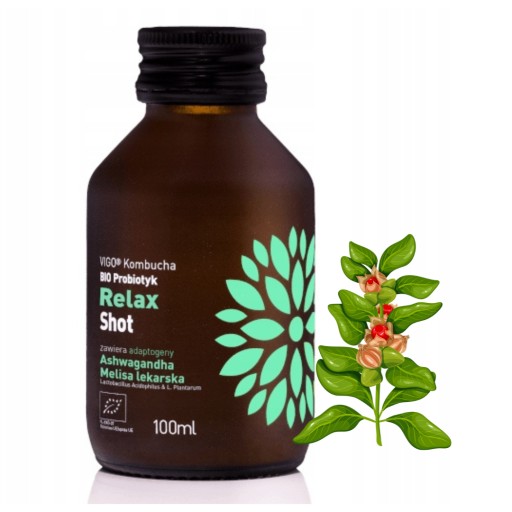 Kombucha Shot Relax Ashwagandha + Melisa BIO Probiotic 100ml Vigo