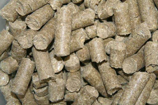 Delizia Klasická pochúťka pre kone 1kg mrkva