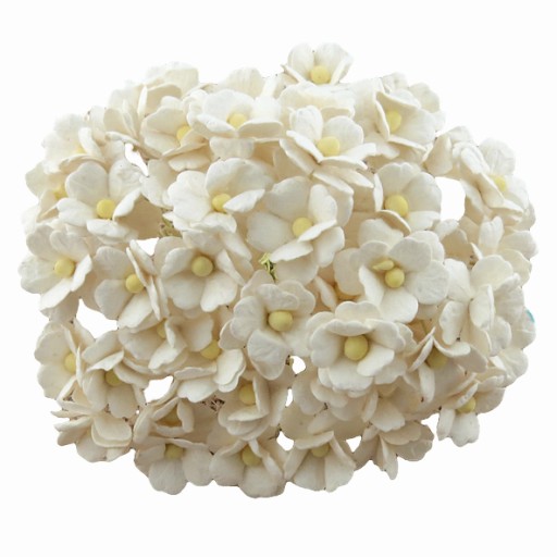 Papier FLOWERS WEETHEARTY ecru - 50 ks