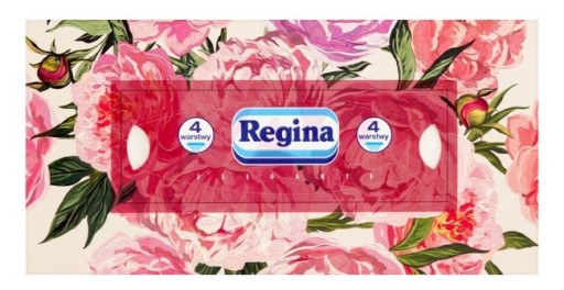 Regina vreckovky Box 4 v 96 ks