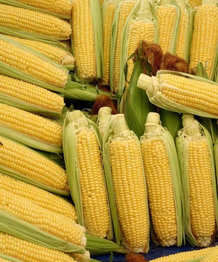 Popcorn zrno 1kg Makar