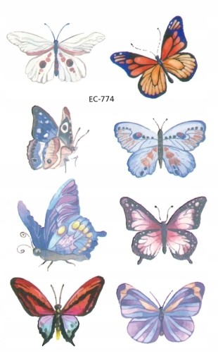 Umývateľné tetovanie pre deti BUTTERFLIES EC774
