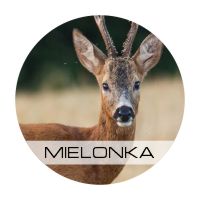 Etikety fi 4cm ROEER MEAT, hnedé, 24 ks