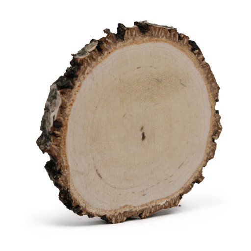 Drevené plátky, hrubá kôra pr. 8-10 cm, leštené