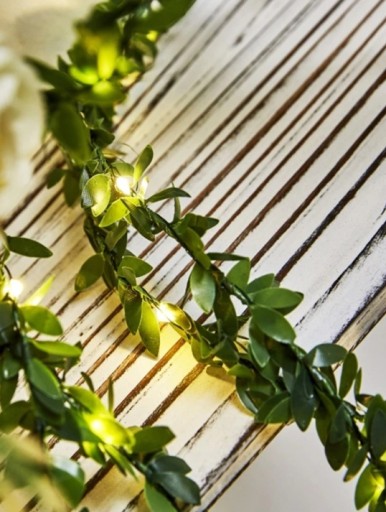 BOXwood LED listová girlanda na drôte