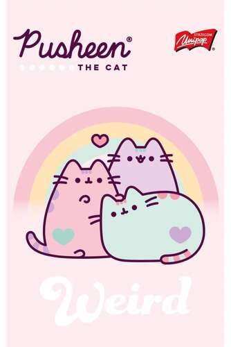 PUSHEEN NOTEBOOK NOTEBOOK ŠKOLSKÝ ZÁPISNÍK A6/50K LAMINOVANÝ MAJEWSKI KOTEK