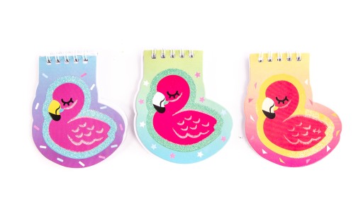 NOTEBOOK MINI NOTEBOOK FLAMING RÔZNE FARBY