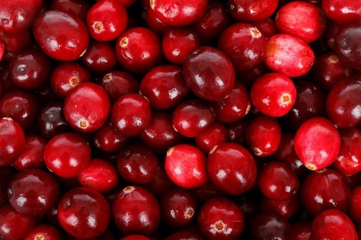 Sušené brusnice 500g Makar Na vredy