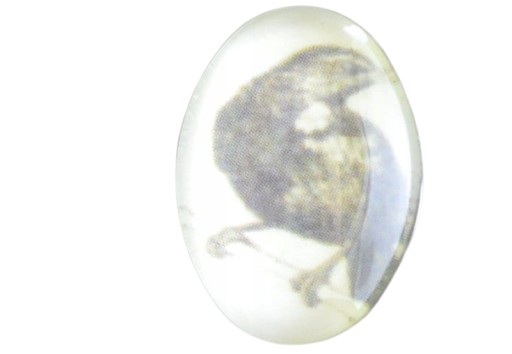 Kabošon s obrázkom 18 x 13 mm čierny vták