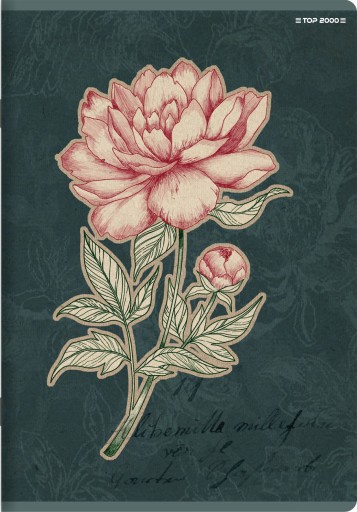 Štvorcový zošit A5 TOP-2000, 32 listov