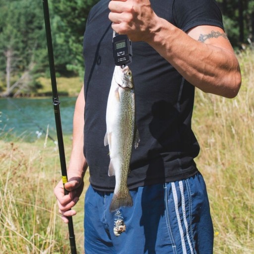 V2 RYBÁRSKA CESTOVNÁ DIGITÁLNA váha s háčikom 50 kg VÁŽENIE BATOŽINY