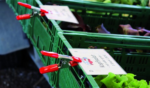 SVORKA PEVNÁ PRUŽINA XM3EU 25/32 BESSEY