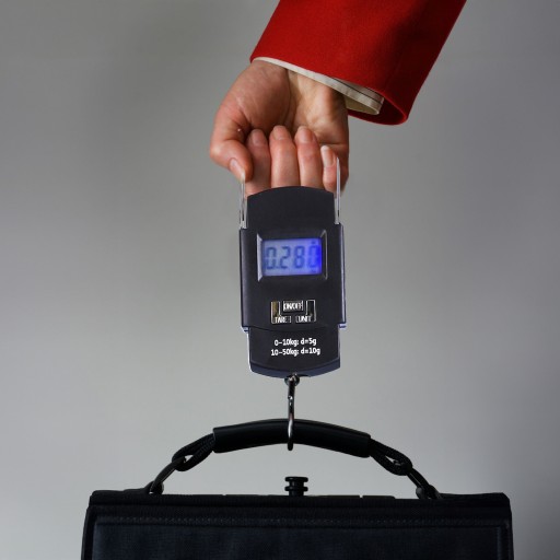 Vrecková cestovná váha na rybársky háčik na batožinu, závesná, ručná, LCD, 50 kg