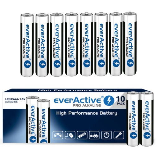 10x LR3 AAA BATÉRIE ALKALICKÉ BATÉRIE everActive