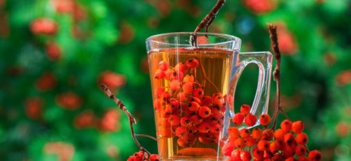 Bio čaj zo sušeného ovocia jarabina 250g vitamín C