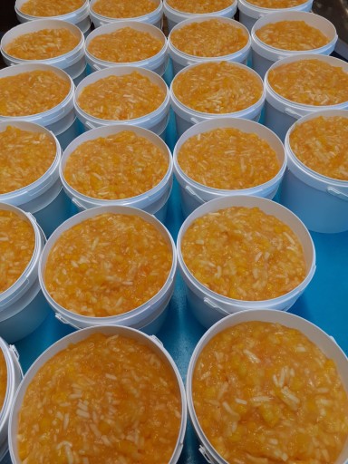 Pražené JABLKO S Mangom BEZ PRIDANÉHO CUKRU 450 g