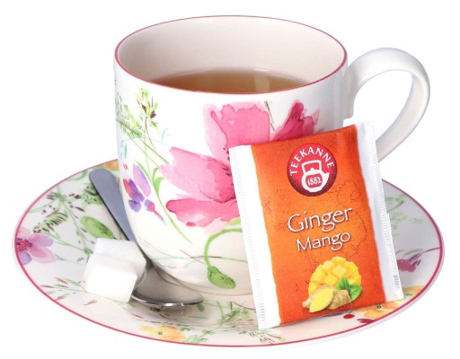 Ovocný expresný čaj Ginger & Mango Teekanne 35 g
