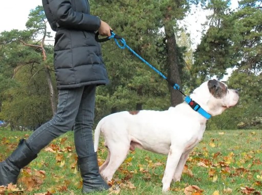 VODÍTKO PRE PSA SILNÉ HRUBÉ REFLEXNÉ LANO 1,5 m