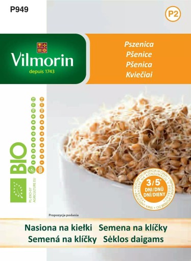 #Pšenica 40g - semená klíčkov vilmorínu