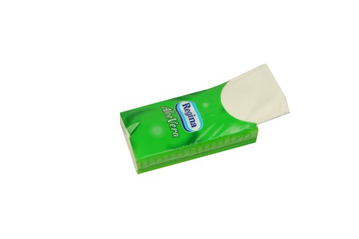 HYGIENICKÉ Utierky 10x9 ks. Regina ALOE VERA