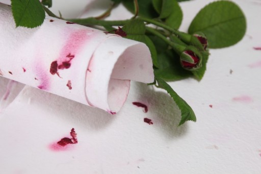 ručný papier A3+ - biela ruža, hladká textúra