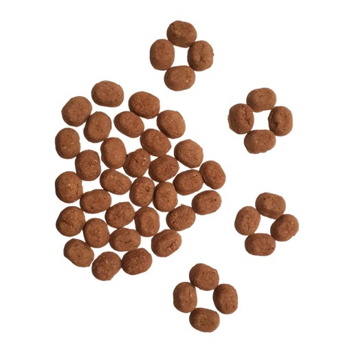 ÚLOVKA ZAJACA SO ZELENÝM ČAJOM DOG DREAM 300g