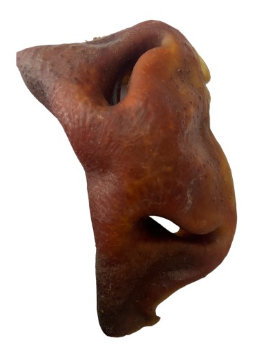 Hovädzí NOSE NATURAL maškrta 1 ks.