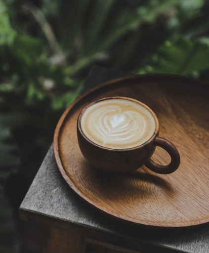 ČERSTVO PRAŽENÉ kávové zrná Vietnam ROBUSTA Rizzi Vietnam di Gia Lai 0,5kg