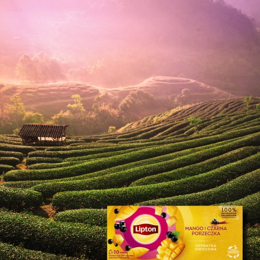 Set Lipton ovocný čaj Mango, Jahoda mix 2x20 sáčkov 66g