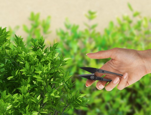 Mini nožnice Herbgarden na strihanie rastlín