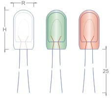 NEON12R 12V červená žiarovka