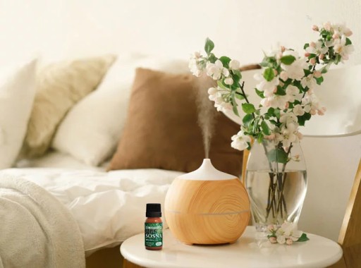 ESENCIÁLNE VONNÉ OLEJE BOROVIČKOVÉ Osvieženie - Prírodná aromaterapia 10 ml